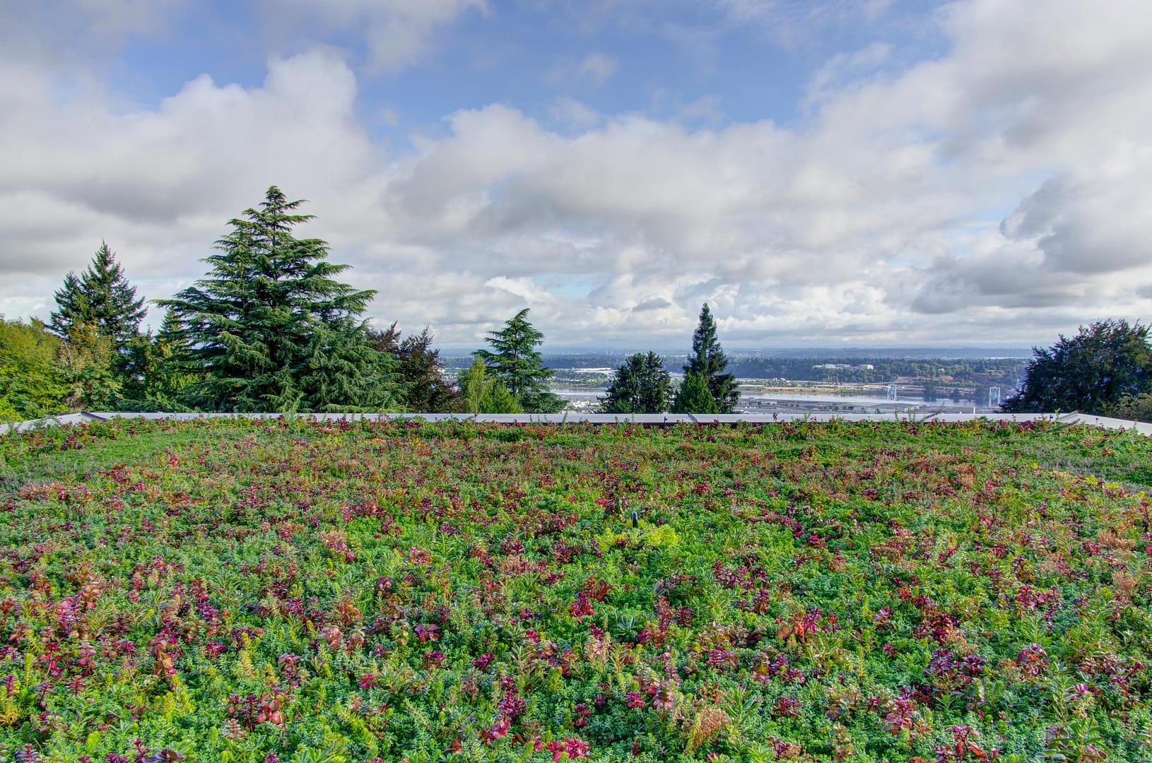 Living Roof at West Hills Addition in Portland Oregon