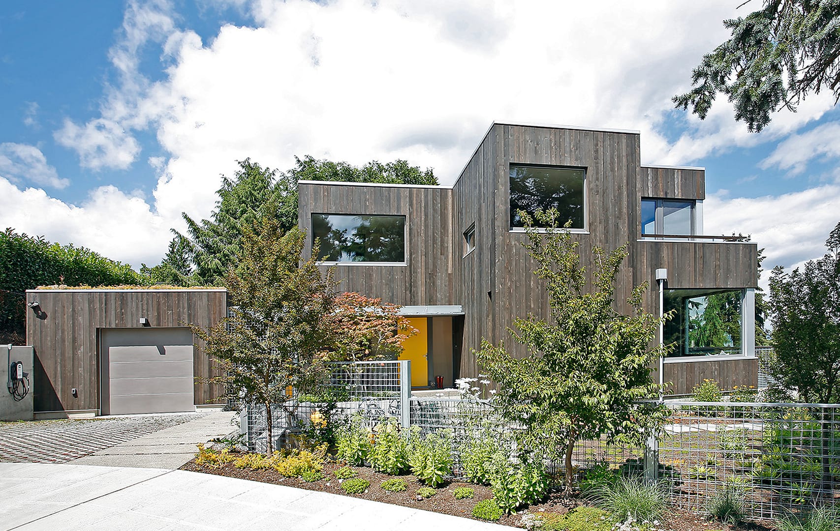 madrona-featured