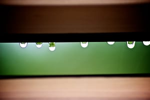 Drops by Final Gather - CC License