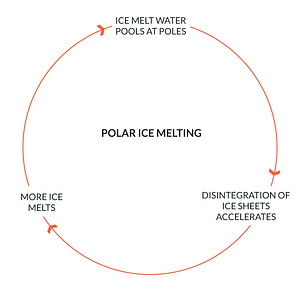 Polar Ice Melting and Climate Change