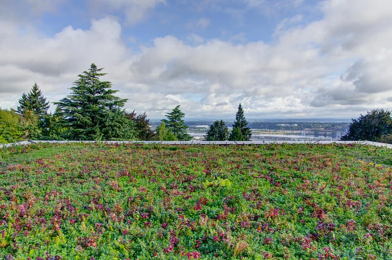 Living Roof at West Hills Addition in Portland Oregon